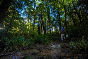 BIB: 
                            <button type="button" onclick="openModal(19240731)" class="btn btn-primary btn-sm float-right btn-popup" data-toggle="modal" data-target=".modal-high-quality">
                        <i class="fas fa-shopping-cart"></i> Add to Cart
                    </button>
                                            <button type="button" onclick="isThisMe(19240731, true)" class="btn btn-success btn-sm float-right btn-popup btn-isme hidden" data-toggle="tooltip" data-placement="bottom" title="นี่คือรูปของคุณใช่ไหม คลิกที่นี่เพื่อเอาเข้าอัลบั้ม">
                        <i class="fas fa-plus"></i> Add to album
                    </button>
                    <button type="button" onclick="isThisMe(19240731, false)" class="btn btn-warning btn-sm float-right btn-popup btn-isnotme hidden">
                        <i class="fas fa-ban"></i> Remove from album
                    </button>